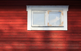 Cat in window. Red wooden wall.